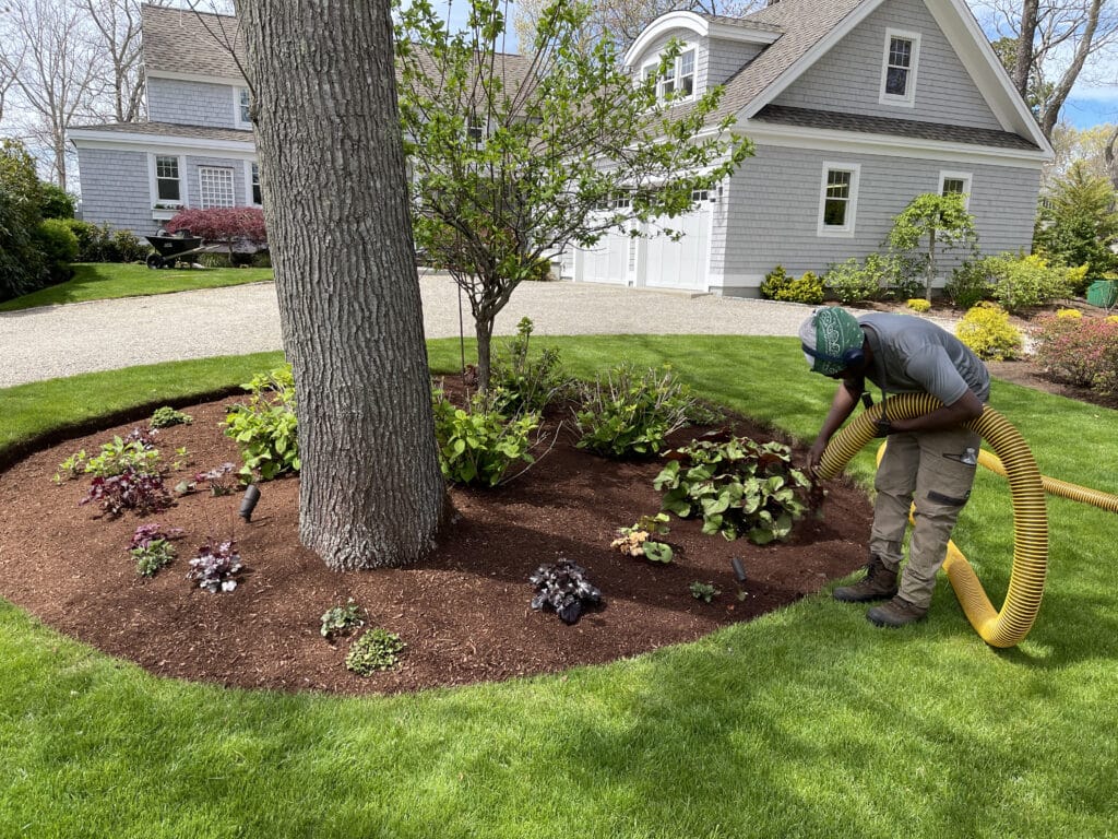 Cape Cod Residential Lawn Care