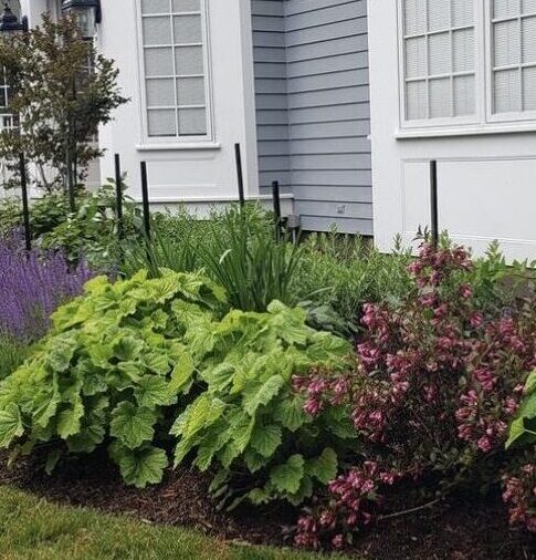 Expert Landscaping Services in Cape Cod
